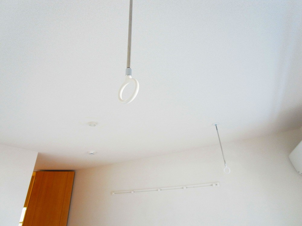 ルピナ その他14