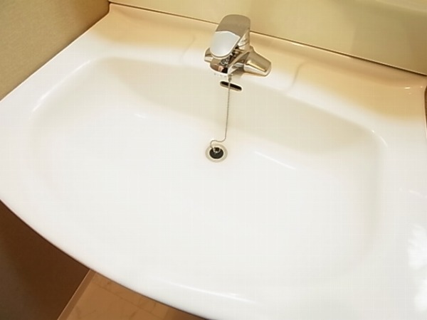 グレース柏 その他12