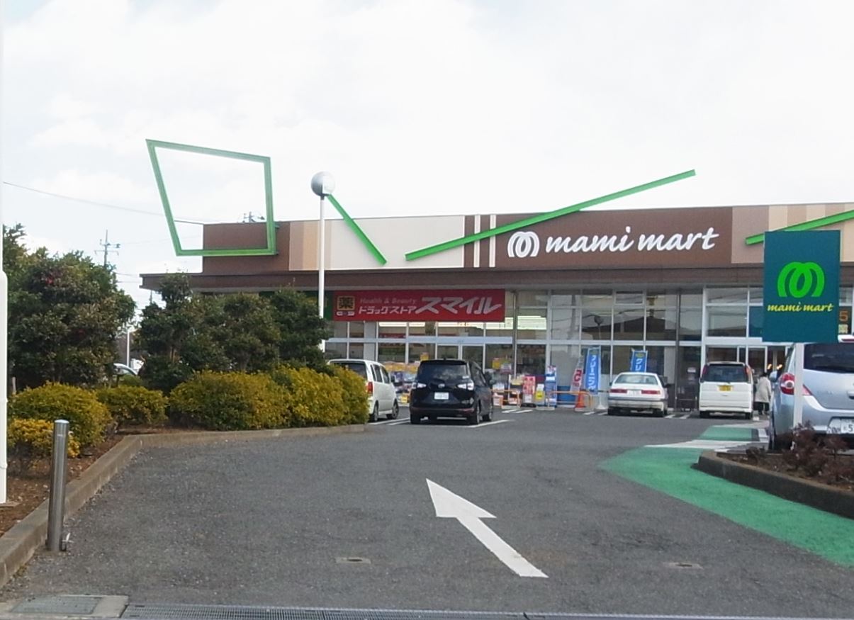 グレース柏 周辺画像1