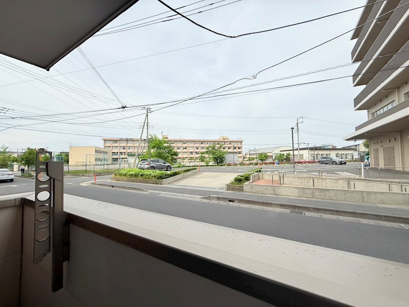 WED COURT Y その他6