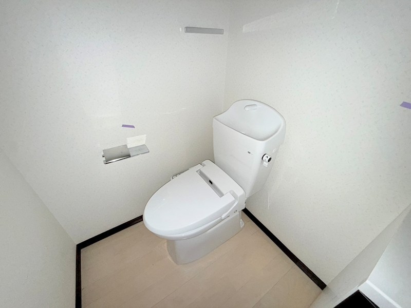 WED COURT Y その他1