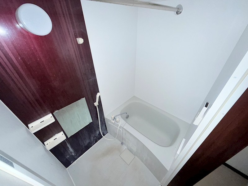 WED COURT Y その他9