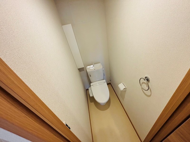 セルティスⅡ その他1