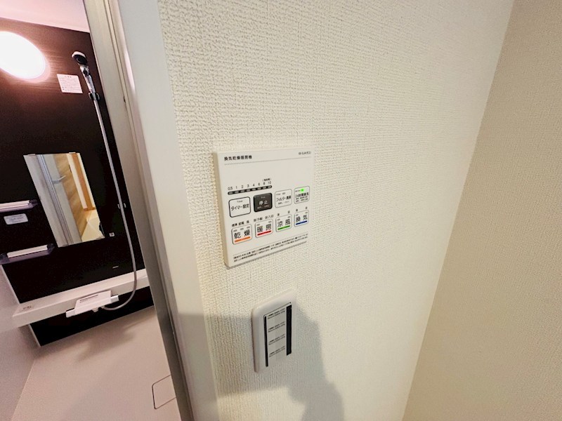 セルティスⅡ その他10