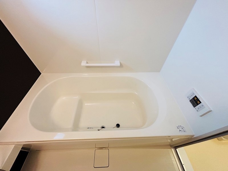 セルティスⅡ その他12