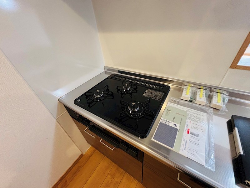 セルティスⅡ その他15