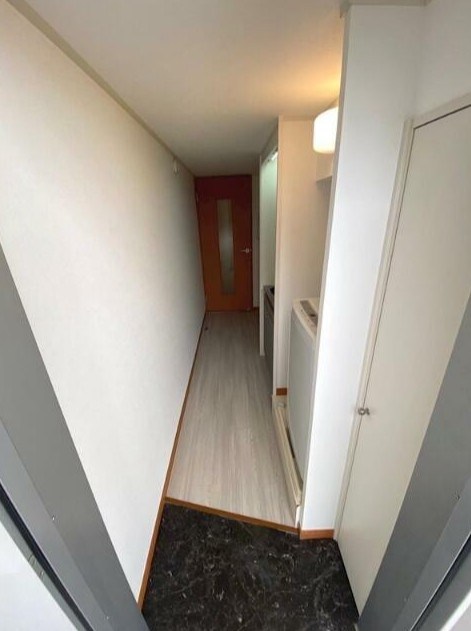 ＷＩＳＴＥＲＩＡ その他12