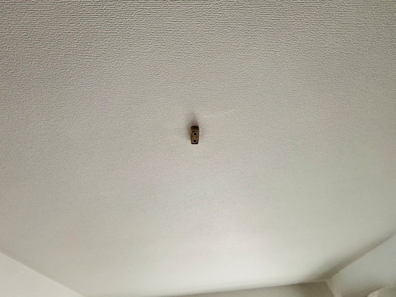 デイズガーデン その他11