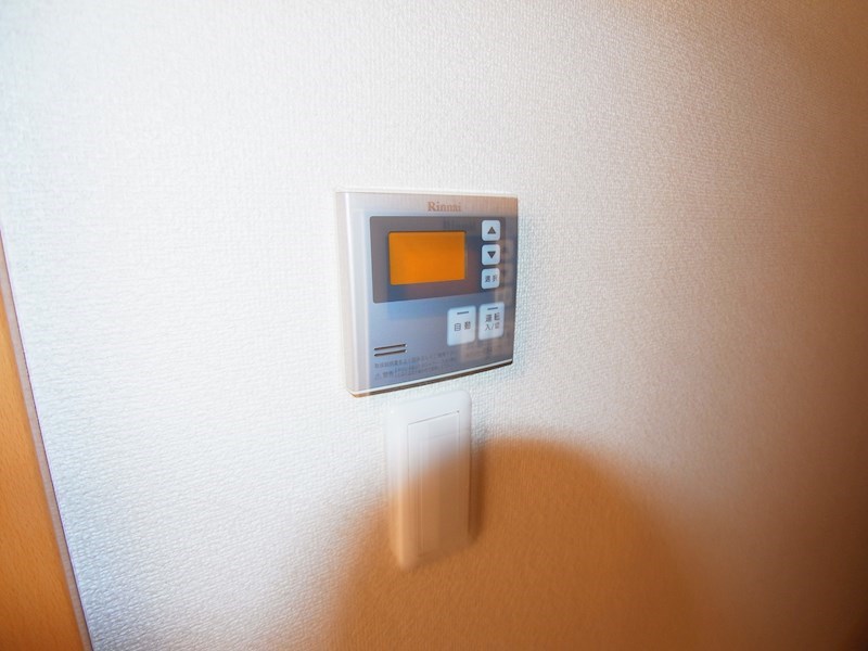 アンジェリークトキワI  その他8