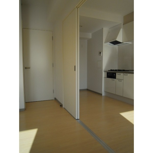 ＰＡＰＩＬＬＯＮ その他4