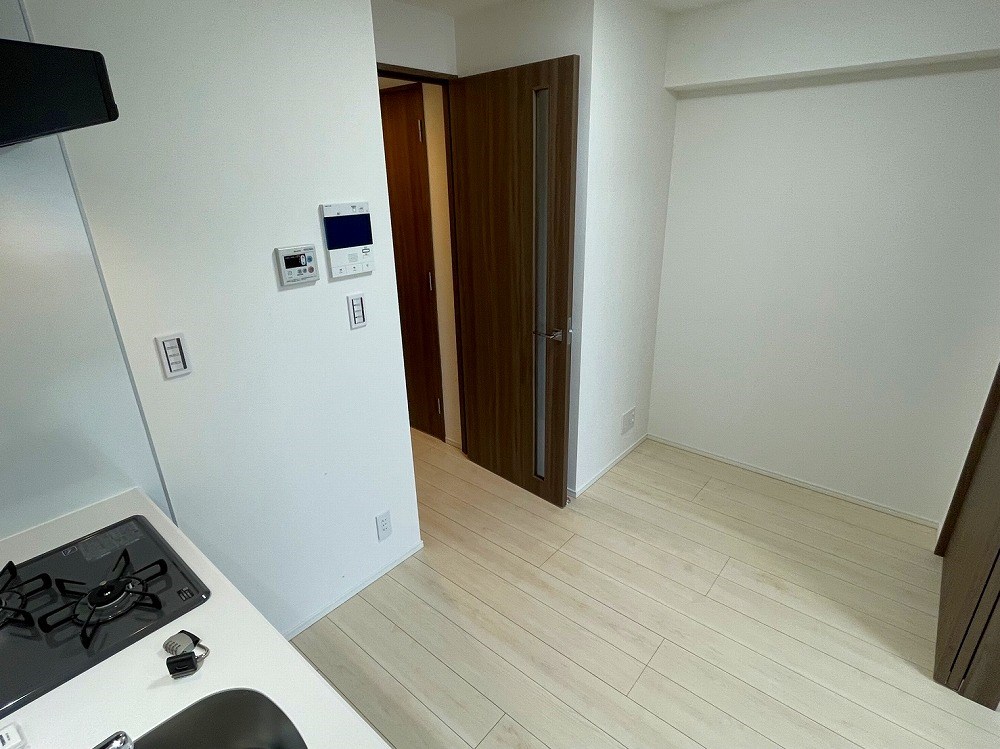 ラフィスタ西新井 その他15