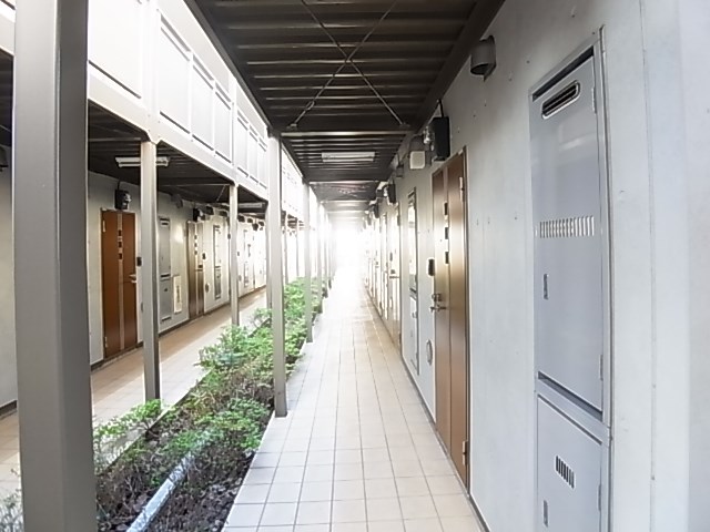 セントポーリア綾瀬 その他外観4