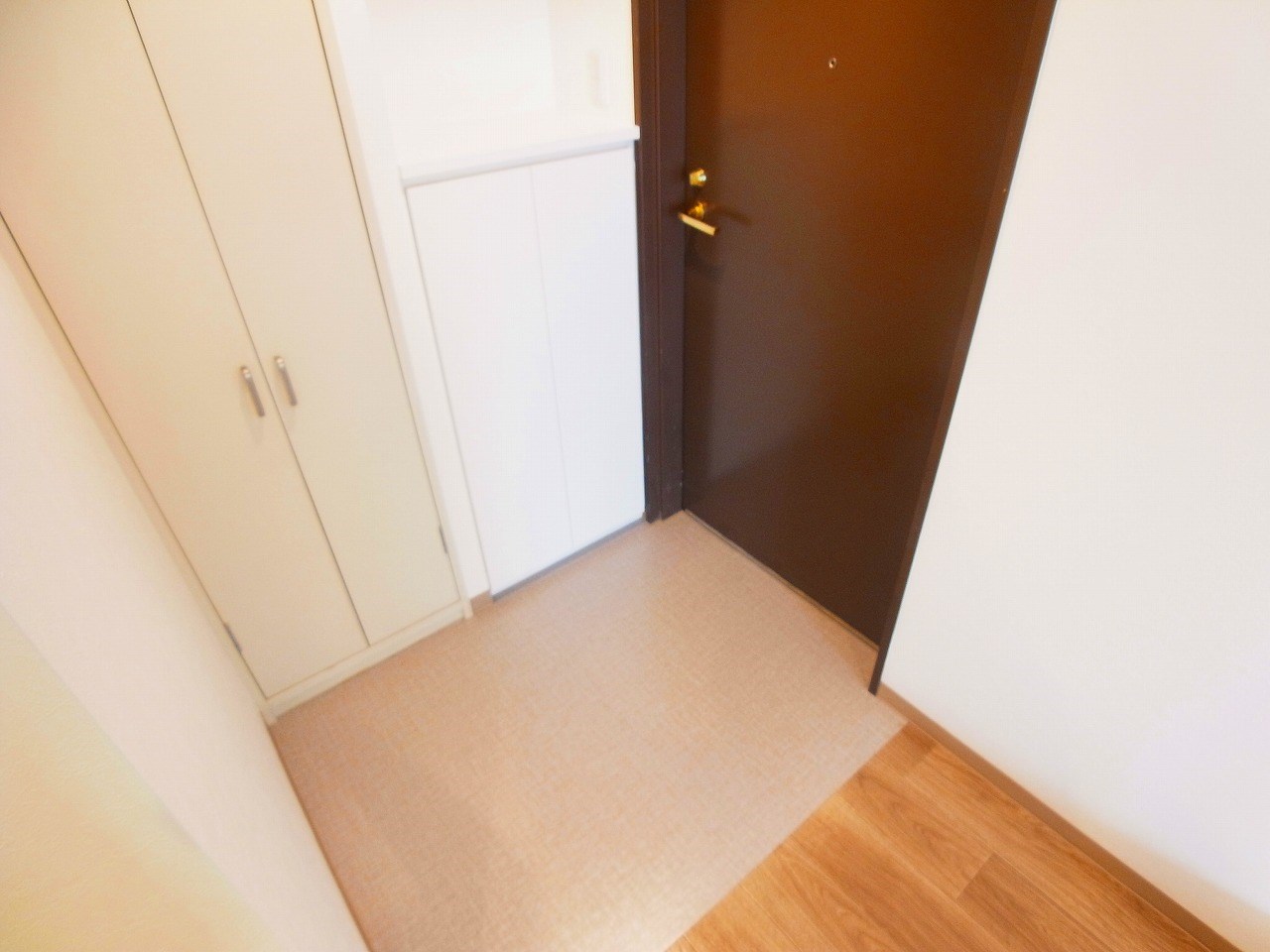 シャイン南流山 玄関