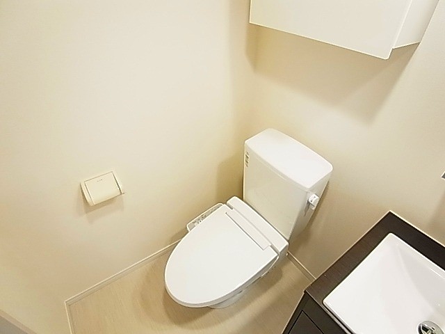 リブリ・クールドール その他1