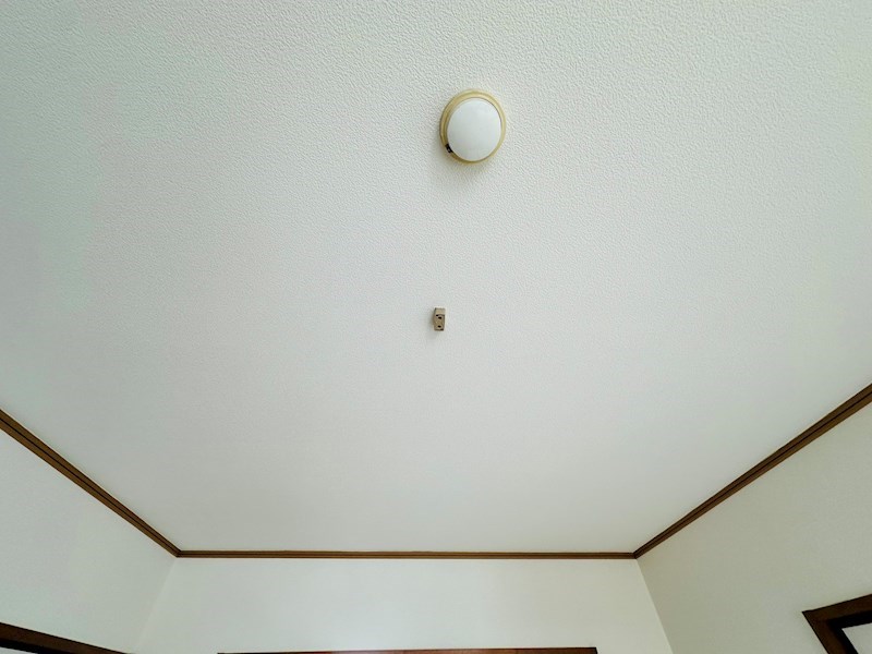 グランレッド1 その他25