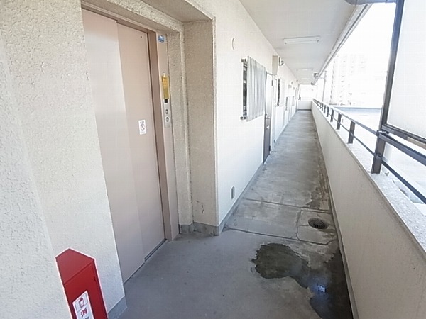 トーカン柏キャステール その他外観3