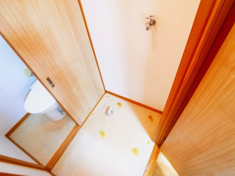 ユーホリアT その他8