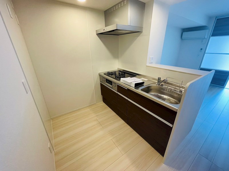 Ｐｒｅｃｉｏｕｓ　Ⅱ（プレシャス　ツー） キッチン