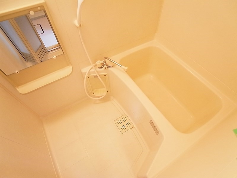 ニュープレーンヒルズC その他30