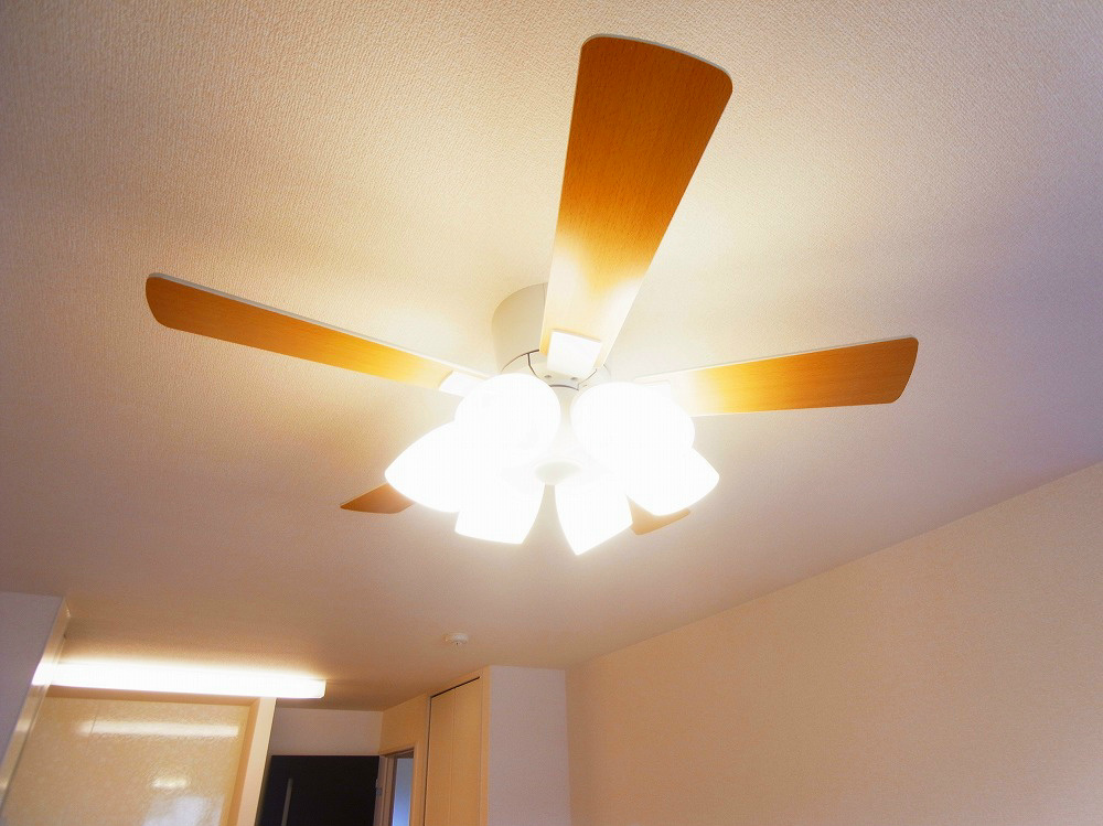 プラシデス　Ａ棟 その他7