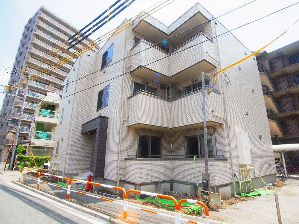 ルピアオウギ その他外観5