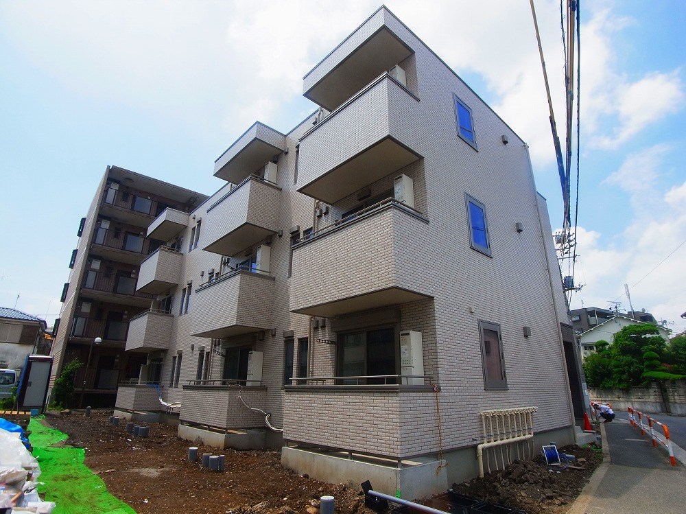 ルピアオウギ その他外観6