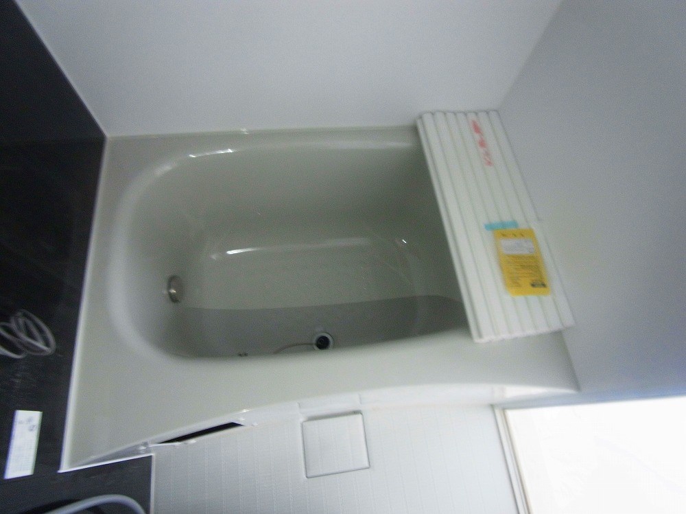 ルピアオウギ その他16