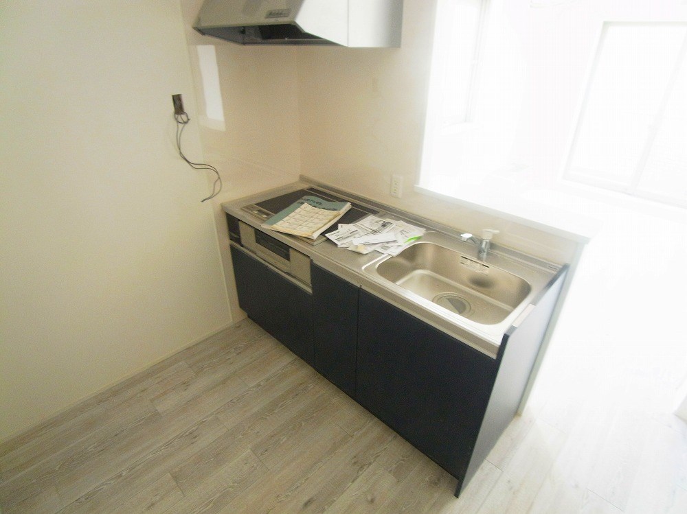 ルピアオウギ その他6