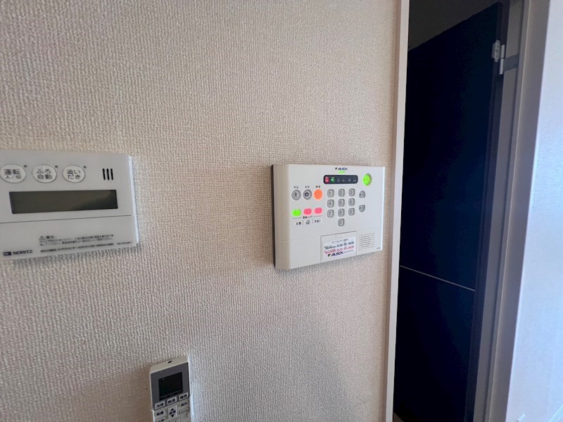 セサミ花畑 その他14