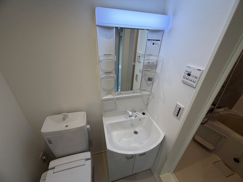 メゾングリーズ五香南 洗面所