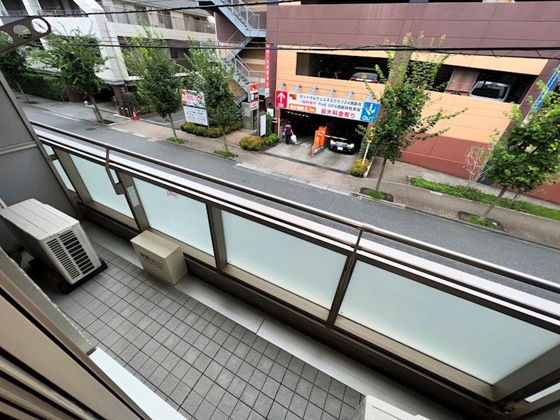 パーシモン　ジュジュベ その他9