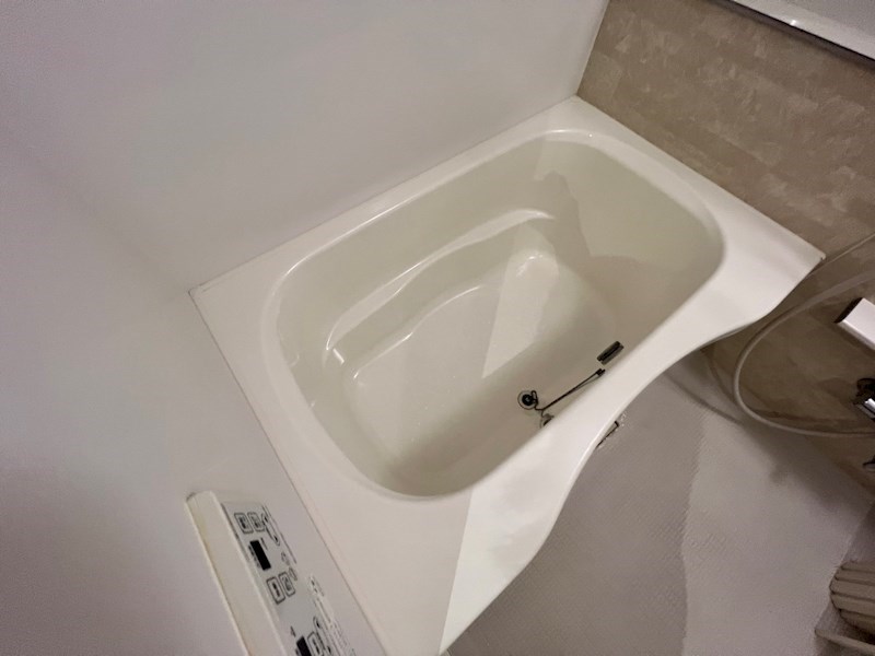 パーシモン　ジュジュベ その他19