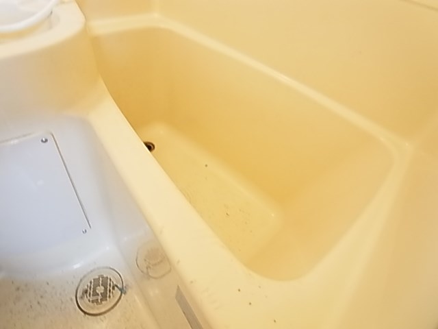 ホワイトハウスフジミＡ その他16