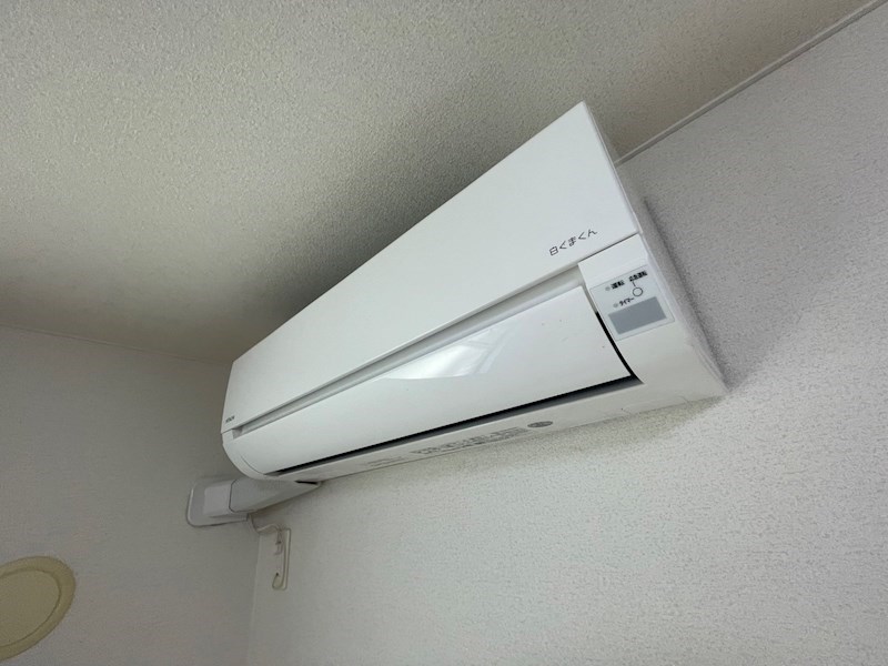 Le Soleil その他5