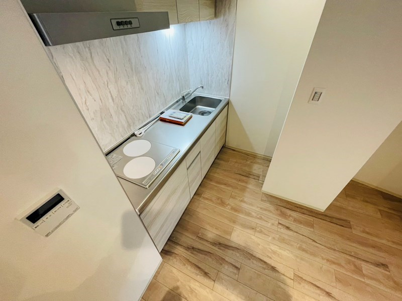 Ecoluxe その他20