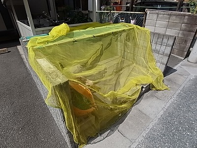 セジュールSA その他外観4