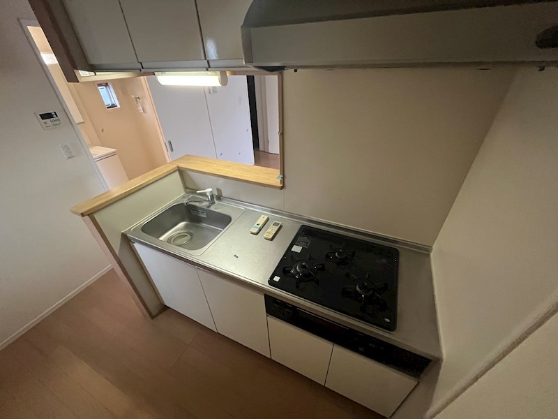 ラシーネ扇　アイリス その他6
