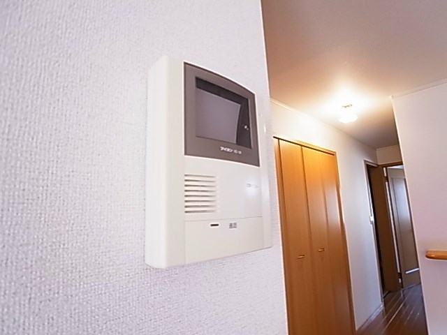 SPES　PIRUMⅡ（スペースピルム） その他4