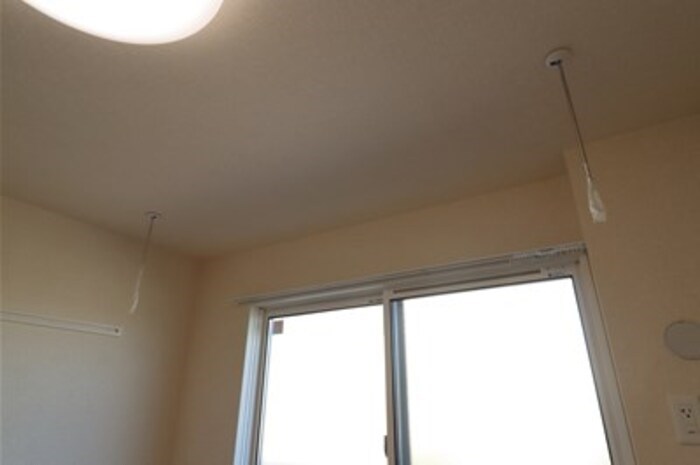 Ferro Palazzo　c その他6