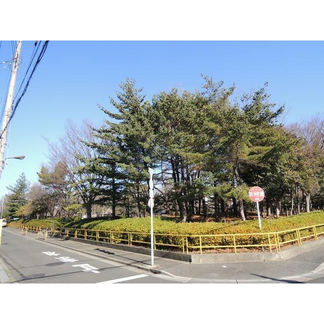 カーサビアンカ北綾瀬 周辺画像7