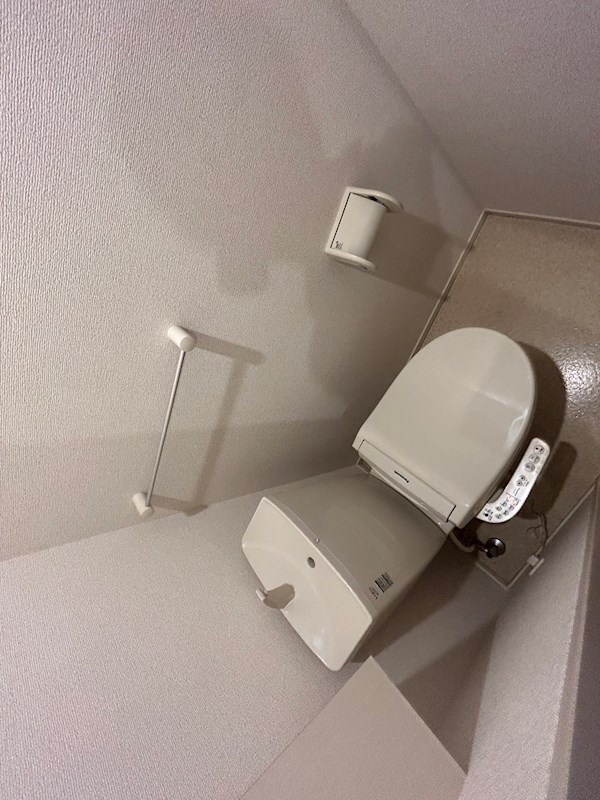 アマリリス その他1