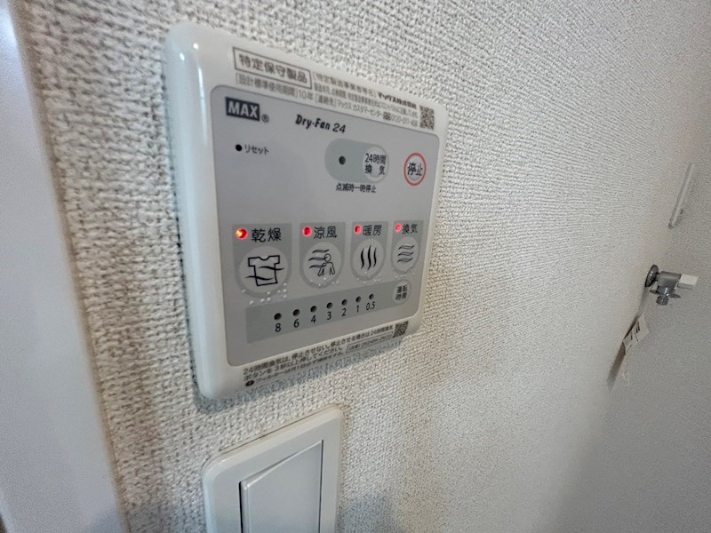 アマリリス その他6