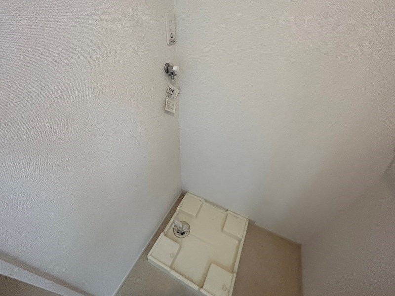 アマリリス その他10