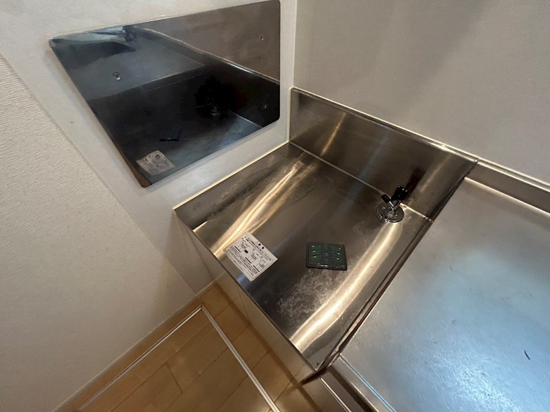 アマリリス その他16