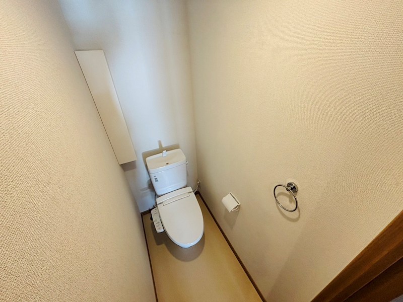 セルティスⅡ その他1