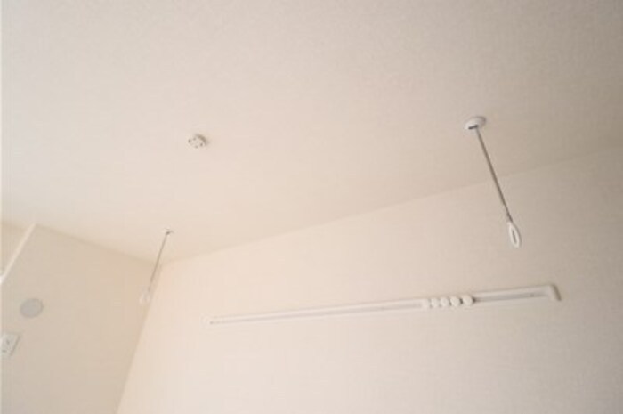 Ferro Palazzo　B その他6