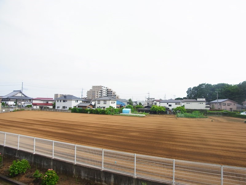 Cherry Blossam その他5