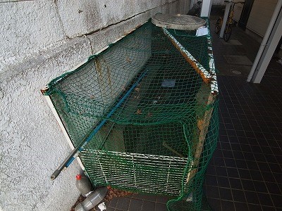 北小金第４レジデンス その他外観3