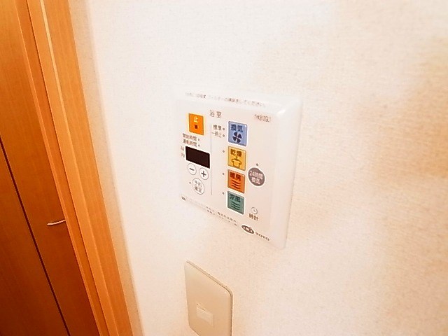 コリーヌ・ドゥ その他16