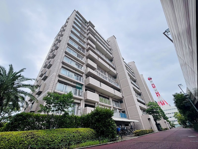 サンパセオ新柏Ｄ号館 604号室 外観